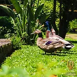 Quinta Fontes Pocas do Monte