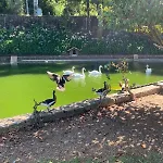 Quinta Fontes Holiday home *
