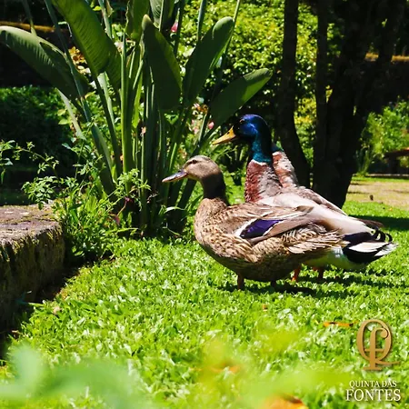 Quinta Fontes Covas do Monte