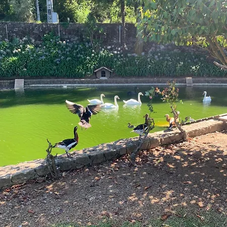 Quinta Fontes Nyaraló *