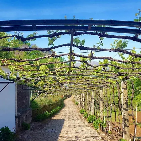 Nyaraló Quinta Fontes Pocas do Monte