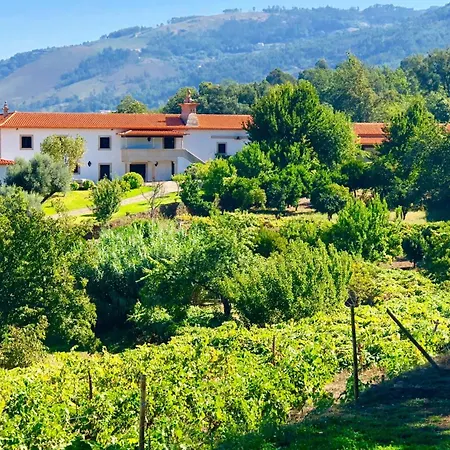 Quinta Fontes *