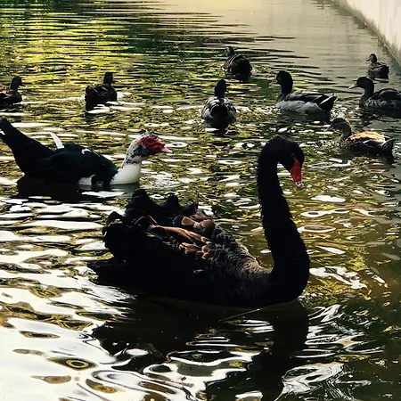 Nyaraló Quinta Fontes