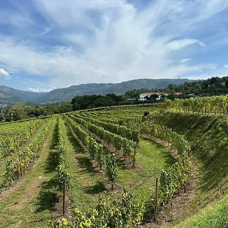 Quinta Fontes
