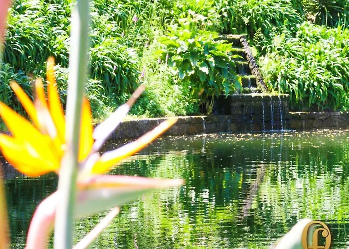 Quinta Fontes Dom wakacyjny Pocas do Monte