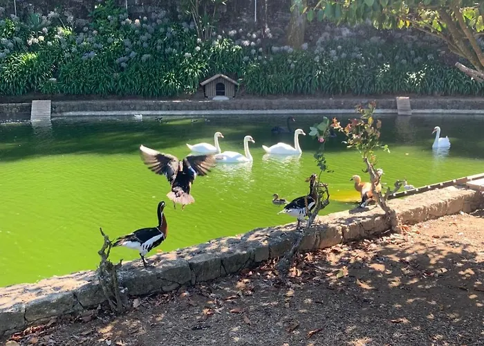 Quinta Fontes Dom wakacyjny *