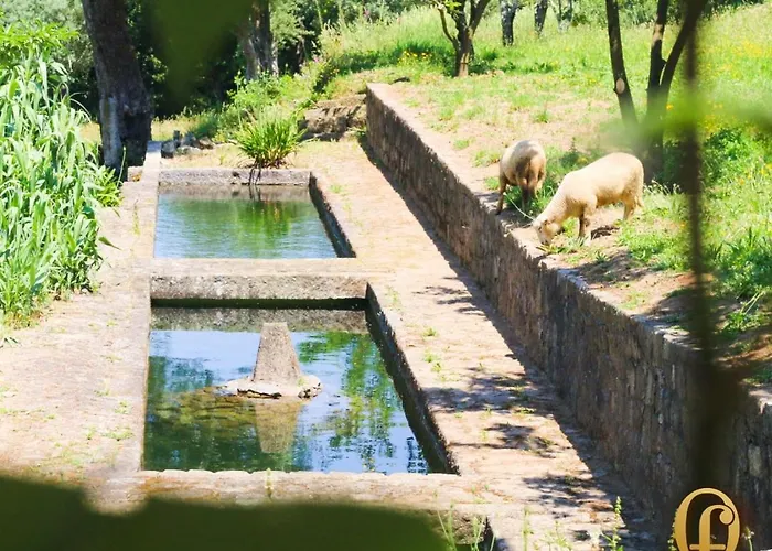 Quinta Fontes Dom wakacyjny Pocas do Monte
