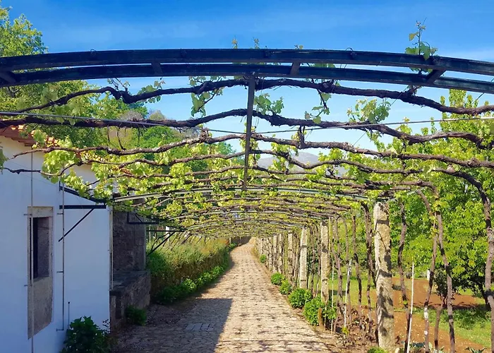 Tatil Evi Quinta Fontes Pocas do Monte