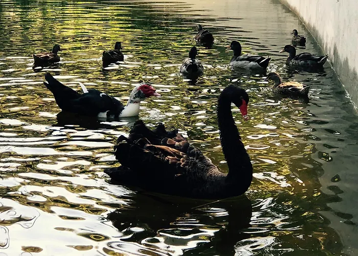 Dom wakacyjny Quinta Fontes