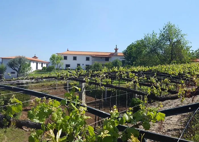 Quinta Fontes Dom wakacyjny Pocas do Monte